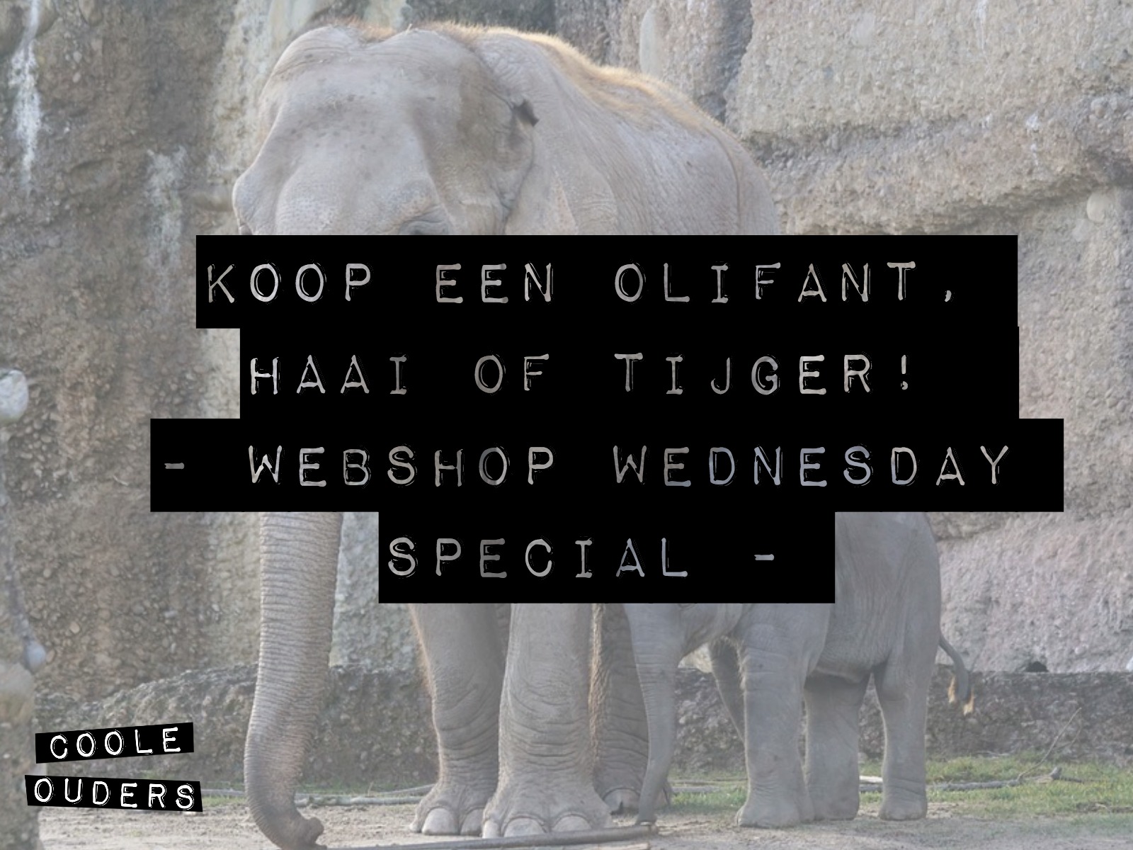 Koop een olifant, tijger of haai! – Webshop Wednesday Special